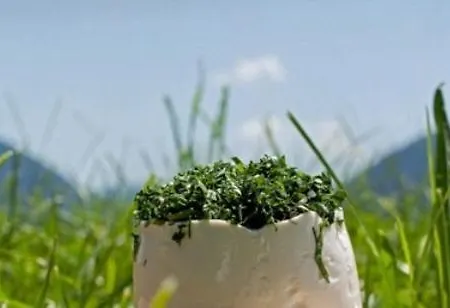 艾尔塔梅尔豪弗农家乐 农家乐 Klamm