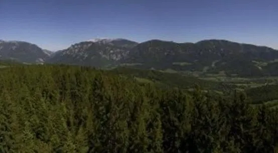 ファームステイ Althammerhof