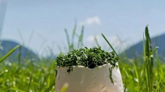 Althammerhof ファームステイ Klamm